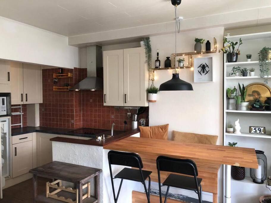 Studio Zeezucht Blankenberge Exteriör bild