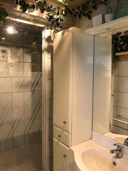Studio Zeezucht Blankenberge Exteriör bild