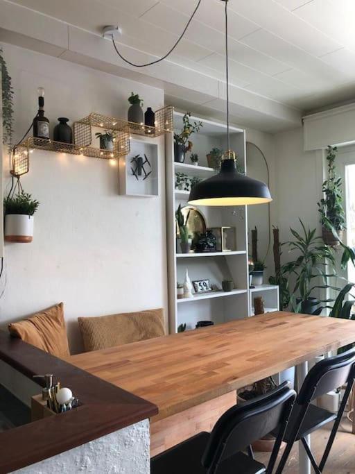 Studio Zeezucht Blankenberge Exteriör bild