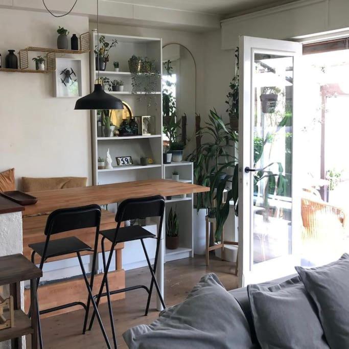 Studio Zeezucht Blankenberge Exteriör bild